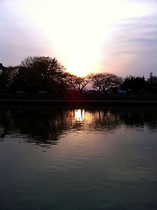 sunset_mizumotopark.jpg