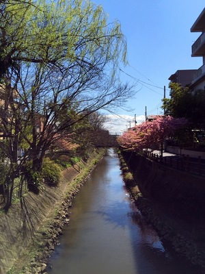 20150324-river.jpg