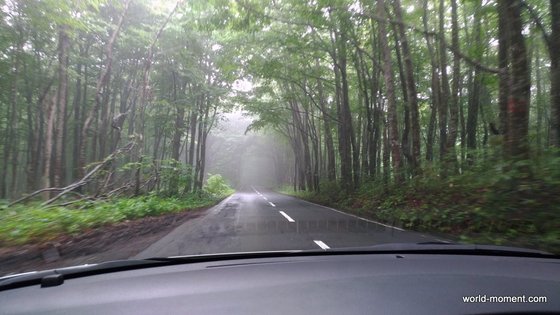 P_20170820_114610.jpg