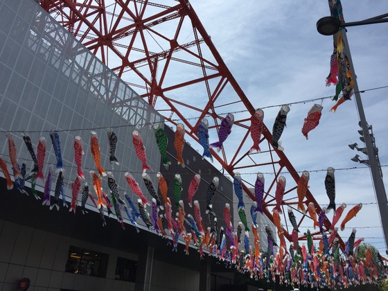 koinobori.jpg