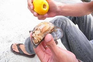 moule.JPG