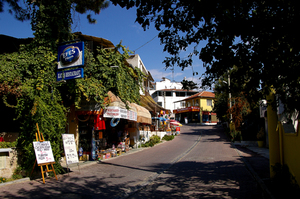 paml28.jpg