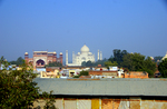 rooftop2.jpg